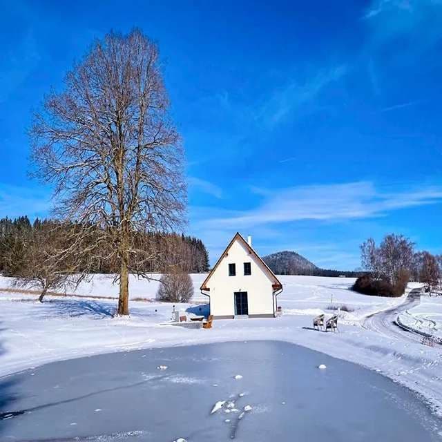 Predaj pozemku 600 m², Olešnice, Jihočeský kraj Predaj pozemku 600 m², Olešnice, Jihočeský kraj