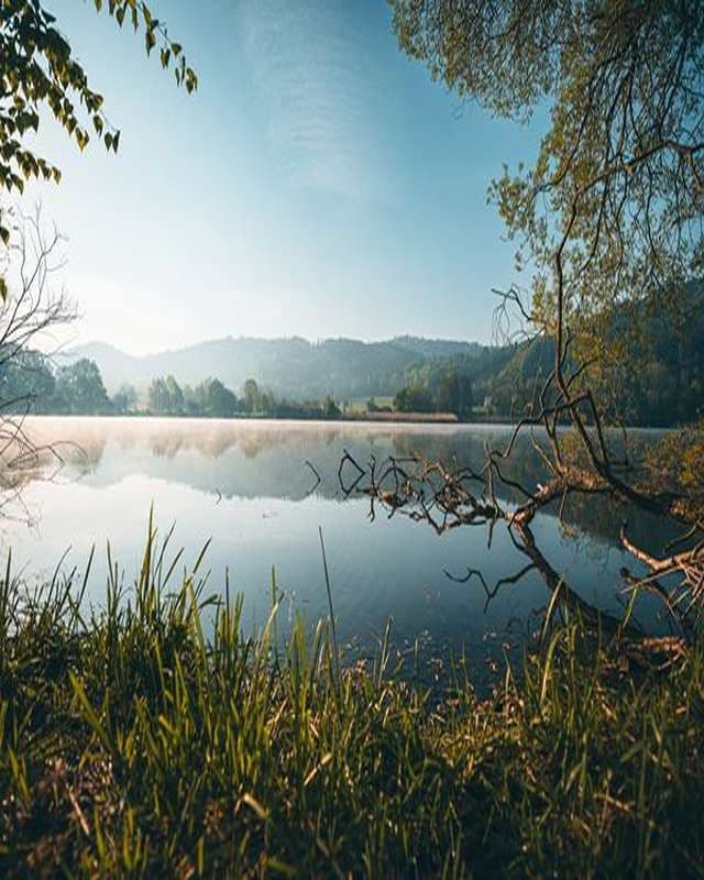 Predaj pozemku 600 m², Olešnice, Jihočeský kraj Predaj pozemku 600 m², Olešnice, Jihočeský kraj